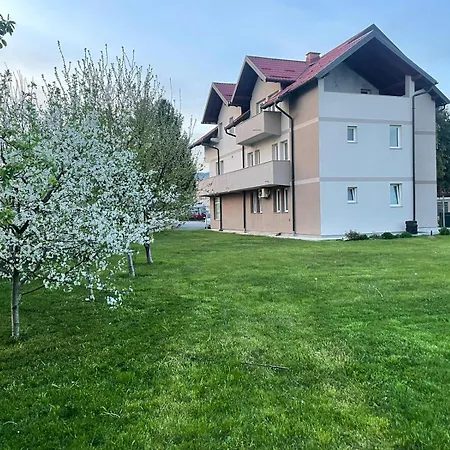 Ed Sarajevo